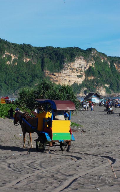 Horse carts can be rent on hourly basis. The drivers sometimes offer to give us a tour around the beach or the waterfall not far from the main beach. I have never been to the waterfall so I can not give you any review.